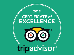 TripAdvisor Certificate of Excellence